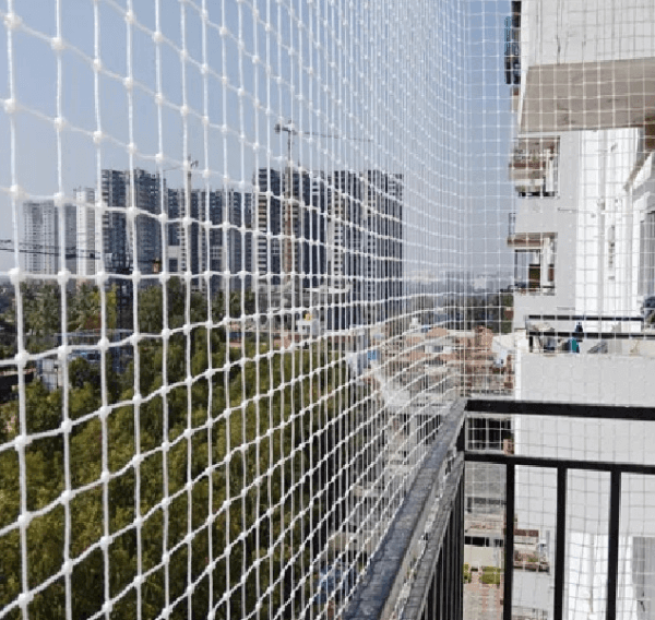 baclonysafetynets