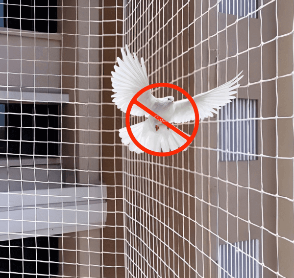 pigeonsafetynets